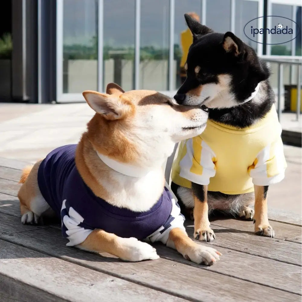 ペット用 犬 猫 多色 スポーツウェア ペットウェア 親子コーデ 外出用 スポーツ 毛が抜けにくい ビションフリーゼ ID2377