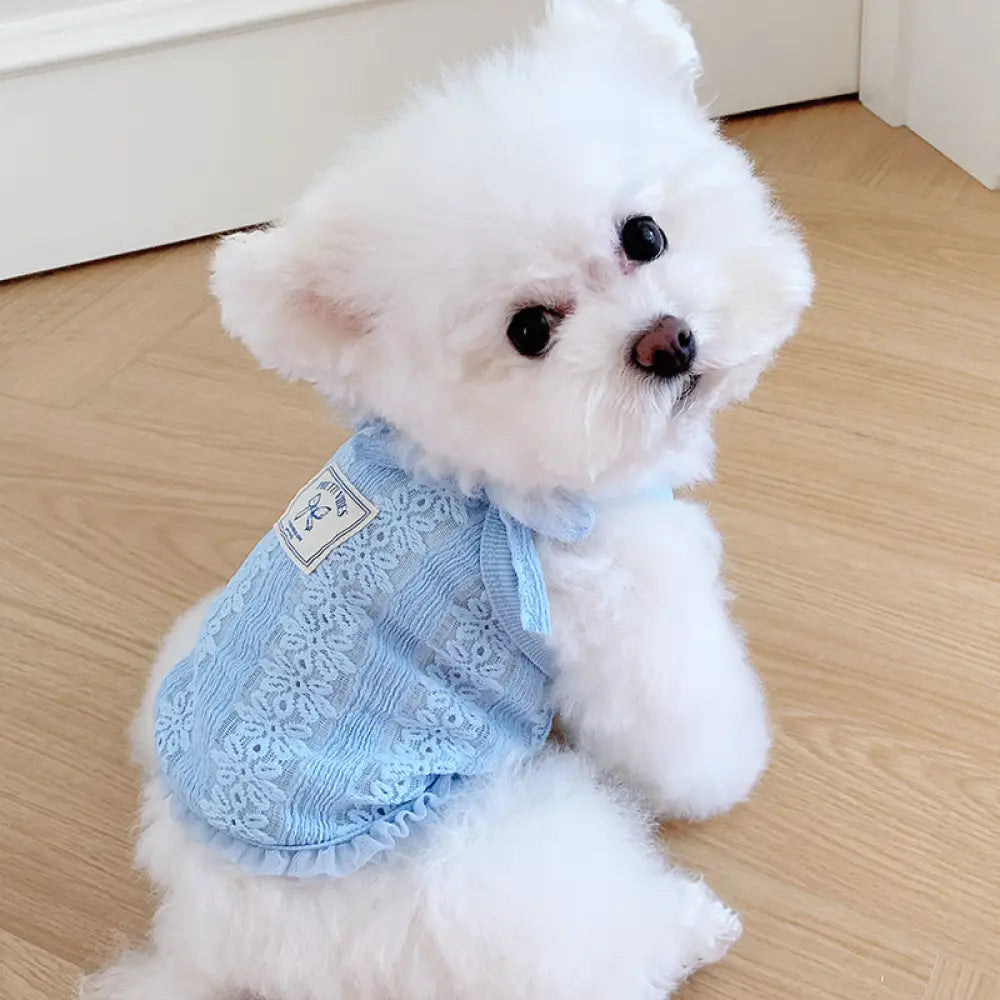 ID569 ペット用 レトロ リボン サロペット レースフリンジ 犬服 ポメラニアン ヨークシャーテリア ティーカッププードル マルチーズ 夏 クール 猫用 おしゃれ ブルー / S ペット用品＞ウェア