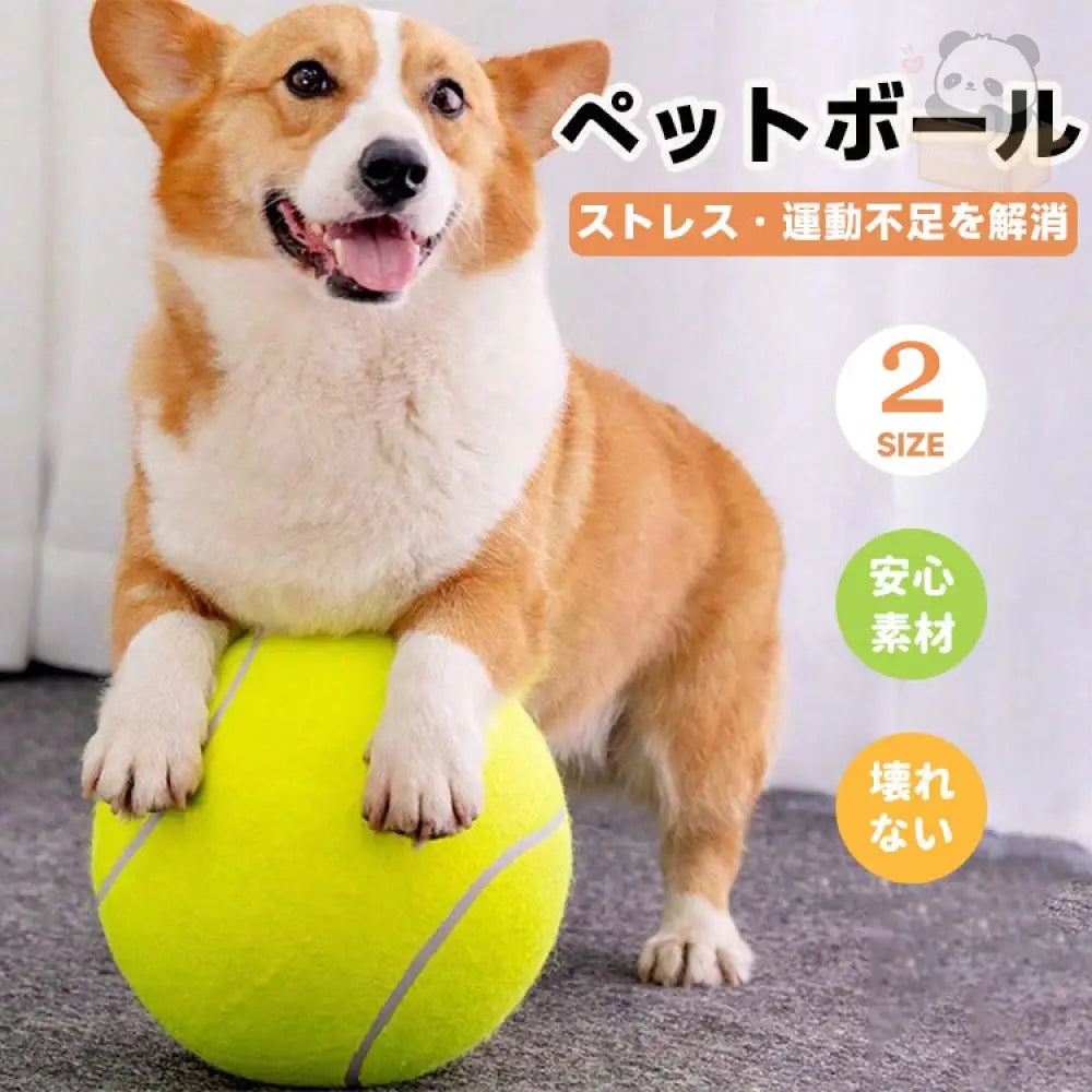 ぺット用 テニスボール 歯磨き 噛むおもちゃ ストレス発散 大きい 丈夫 耐久性 安全 壊れない プレゼント ペット用品＞おもちゃ