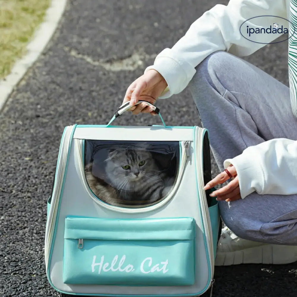 ペットバックパック リュック リュックサック ペットバッグ 犬 猫 キャリー ペット バッグ ペットキャリー ケース おしゃれ かわいい 透明 見える バックパック キャリーケース ペット用 散歩 防災 軽い 散歩 犬 猫 ペット カゴ