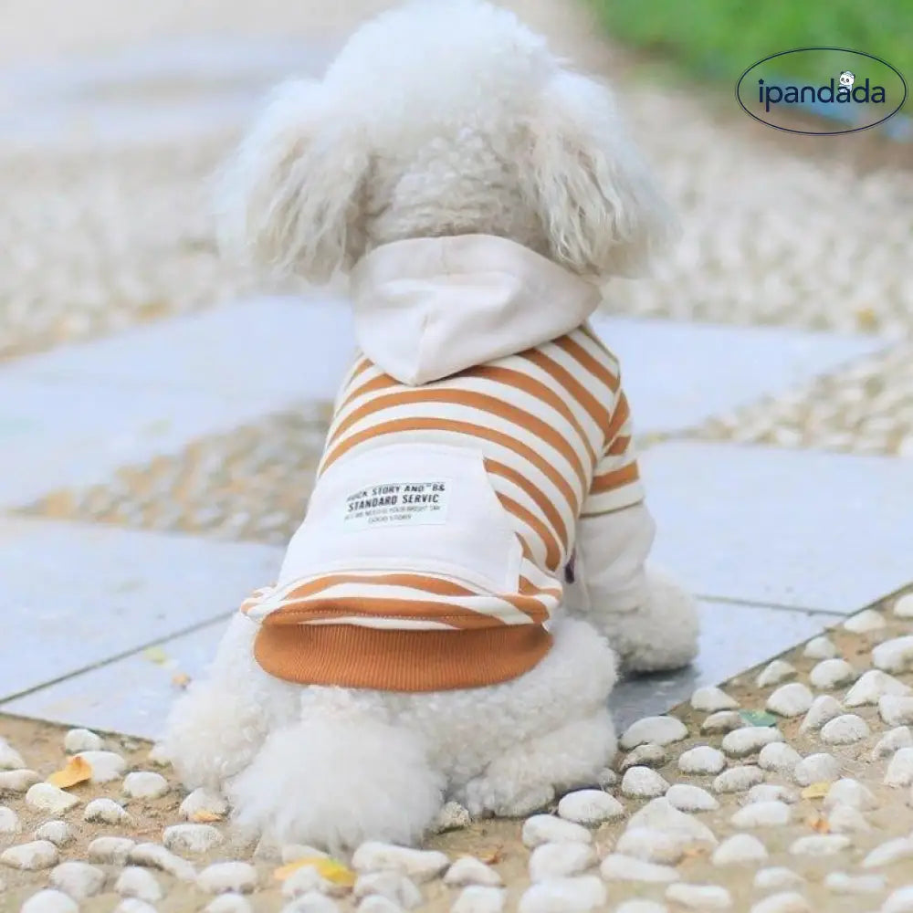 犬とお揃いの服 犬 ペアルック 犬とお揃いコーデ お揃い 親子ペアルック 春秋 パーカー 小型犬 ペットとペアルック 犬服親子 犬/猫とオーナーがペアルック 猫服 ID2269