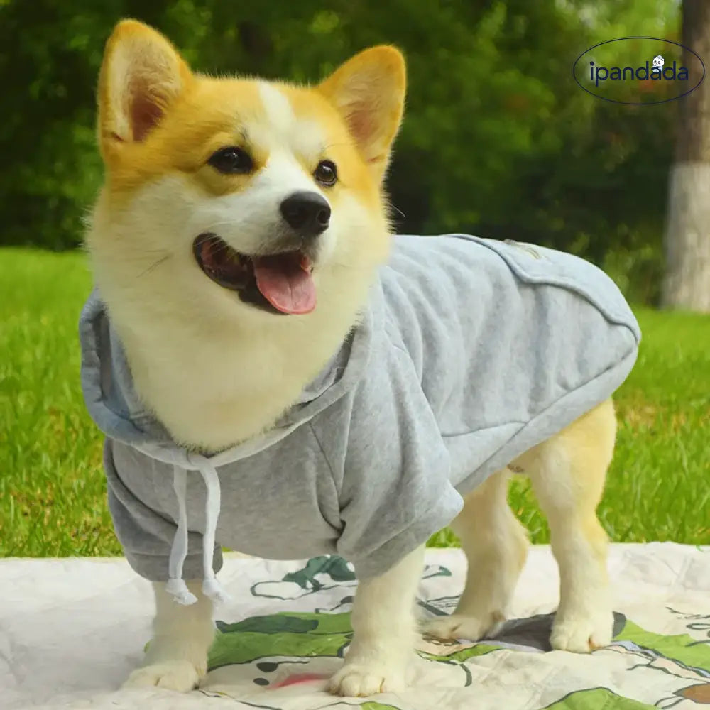 ペットウェア 柴犬 コーギー テディ ベア 秋冬用 フリース付き フード付き 無地 保温 防毛 防汚 ファッション シンプル ID2154