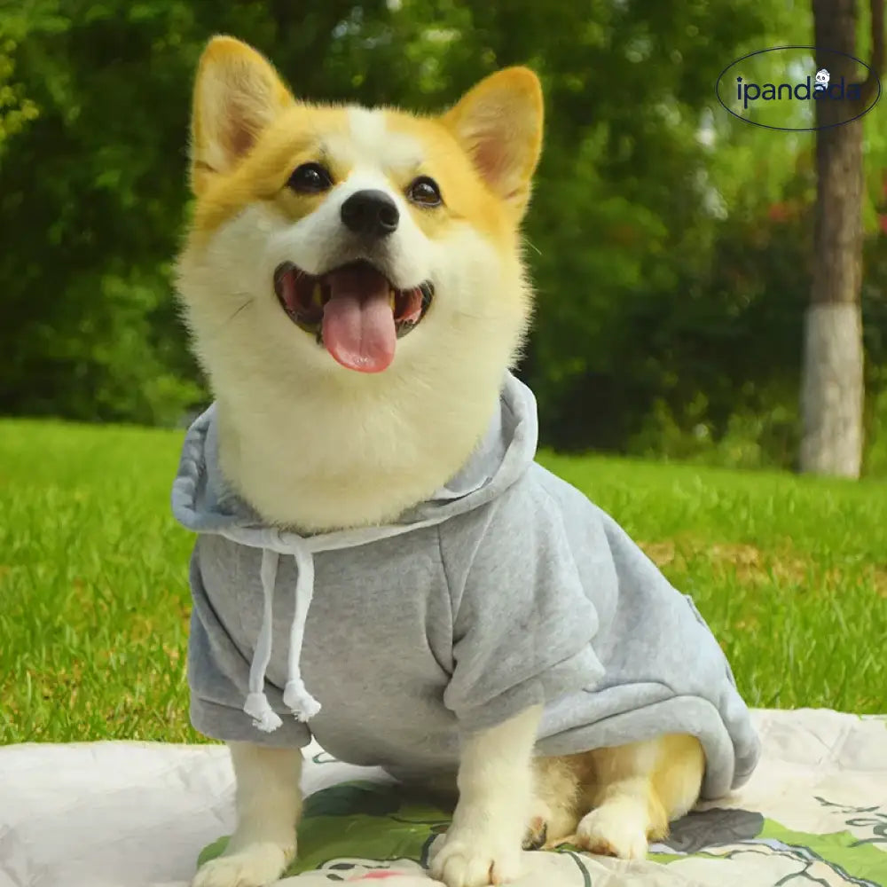 ペットウェア 柴犬 コーギー テディ ベア 秋冬用 フリース付き フード付き 無地 保温 防毛 防汚 ファッション シンプル ID2154