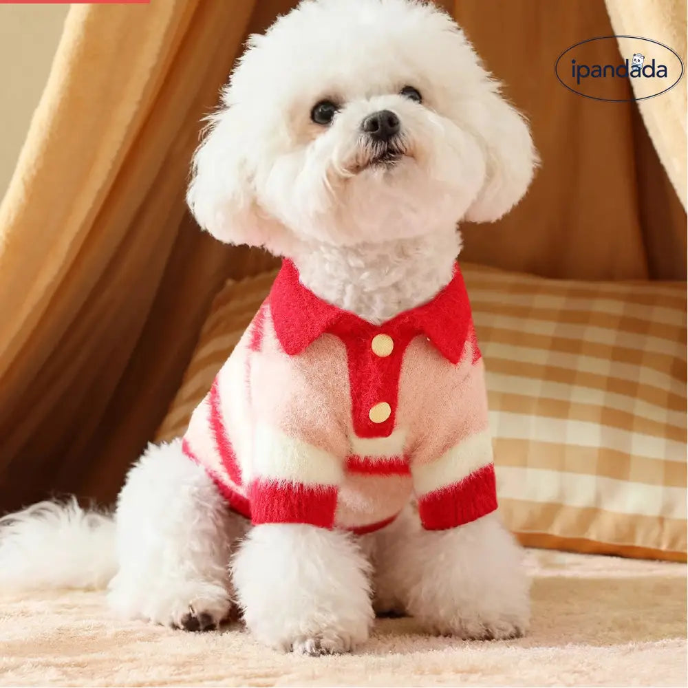 ペットウェア 猫犬 秋冬 加毛 厚手 かわいい 超萌 犬服 小型犬 中型犬 防寒 保温 セーター ID2901