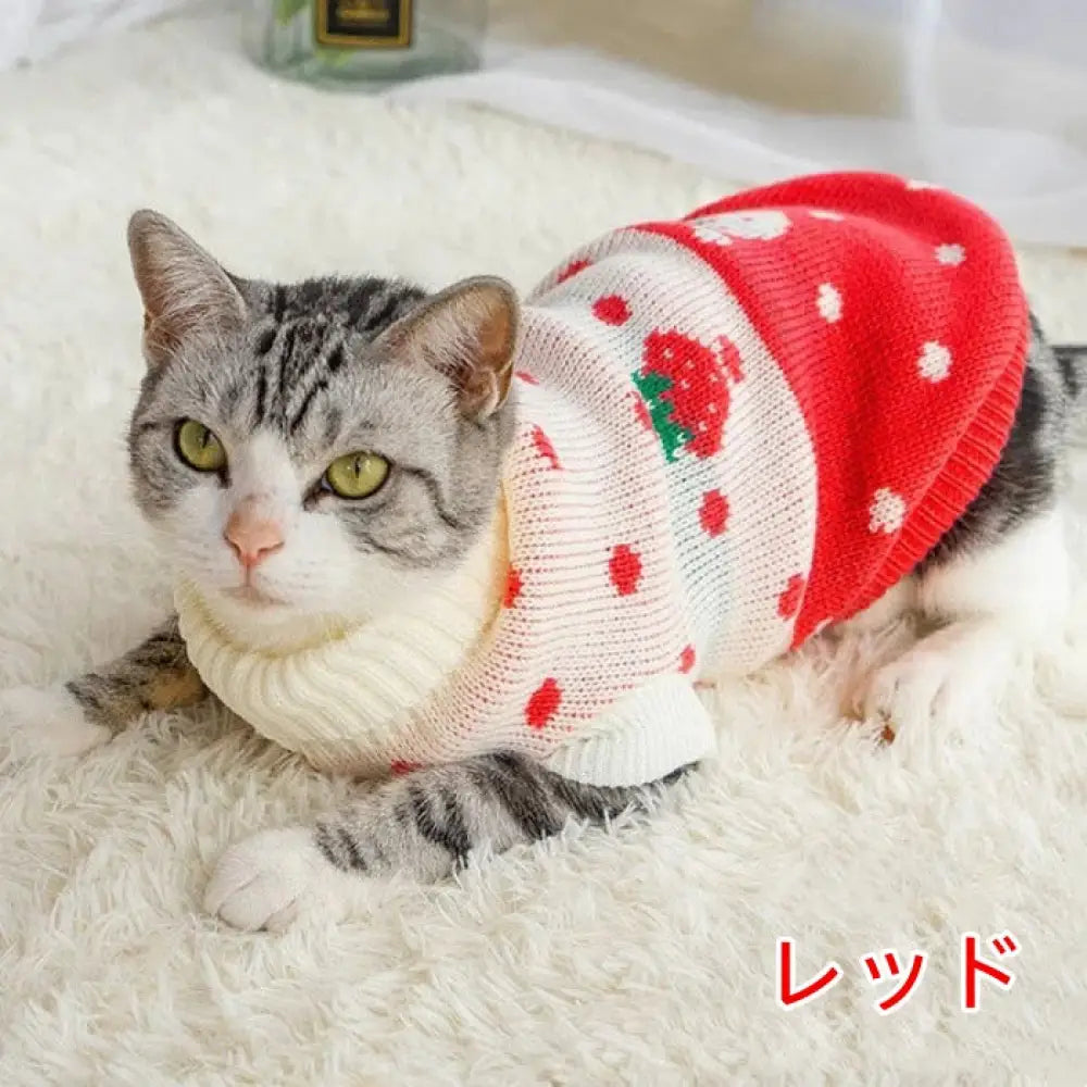 ペットウェア ペット服 ネコ 小型犬 かわいい ニット セーター 犬服 猫服 セーター 秋冬 ペット 防寒 オシャレ 大きいサイズ ペット用 お出掛け お散歩 ペット用品 あったか ペットグッズ ID3142 レッド / 6