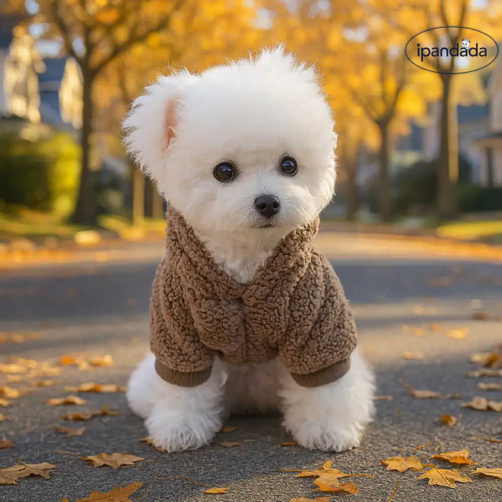 ペットウェア 犬 猫 服 秋冬用 保温 ボアフリース 韓国風 スウェットシャツ ID3465