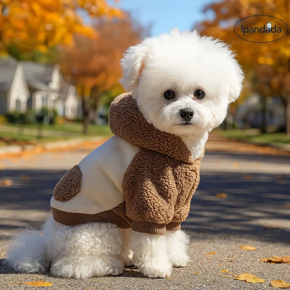 ペットウェア 犬 猫 服 秋冬用 保温 ボアフリース 韓国風 スウェットシャツ ID3465