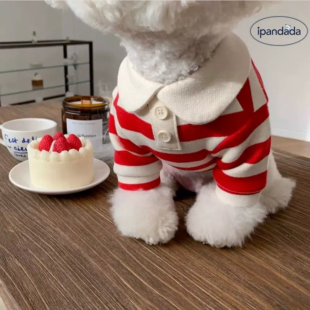 ポロカラー ストライプ柄 3色展開 可愛い かわいい オシャレ 男の子 女の子 かわいい おしゃれ お出かけ お散歩 カジュアル デイリー 普段使い ペット用品＞ウェア