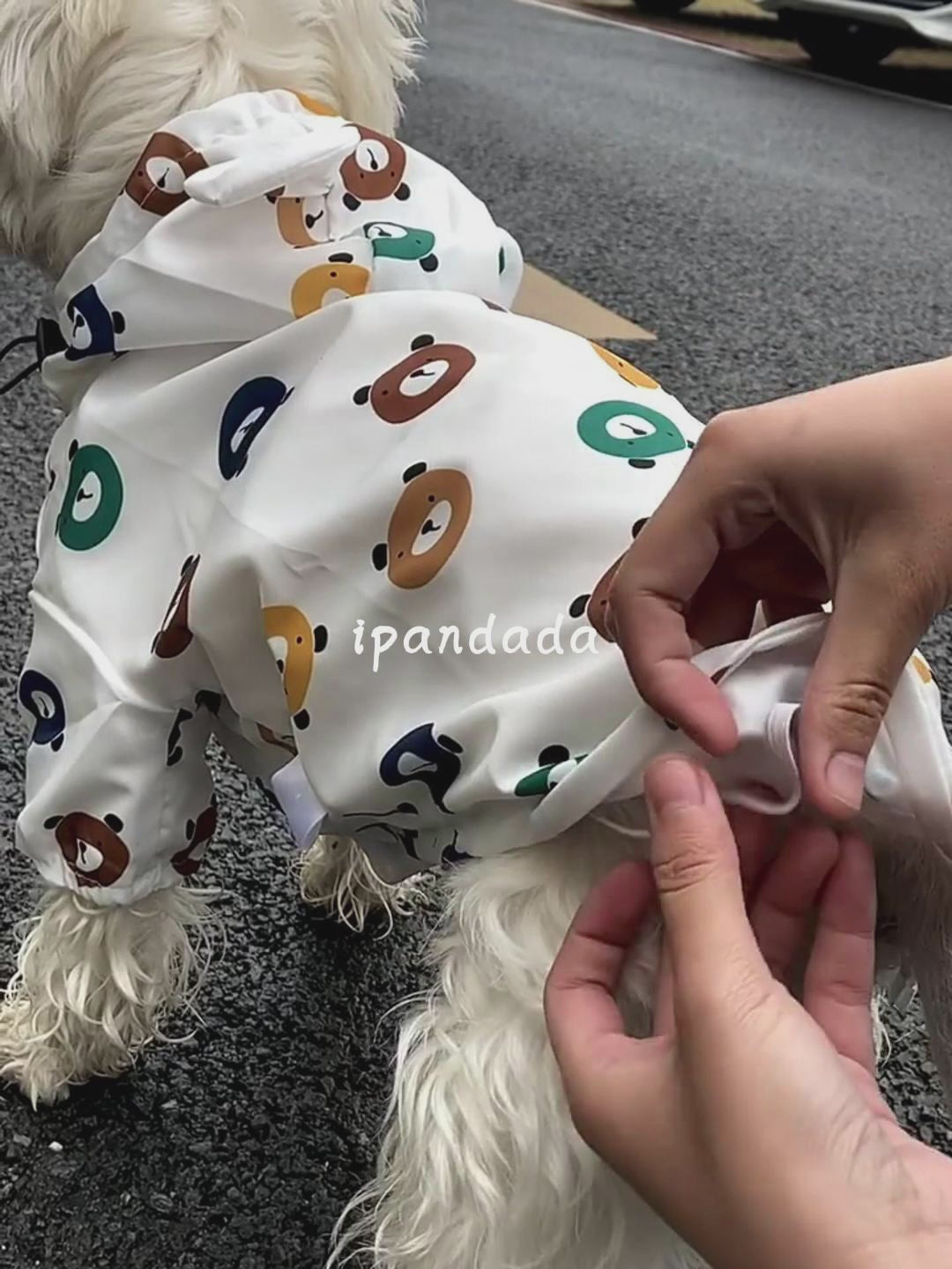 ビデオをロード: 犬 レインコート かわいい ドッグ 服 ペット 小型犬 中型犬 フレンチブルドッグ 防水 防風 着せやすい 足付き フルカバー 足を通さない M XXL 雨用 雨の日 散歩 フレブル 汚れ防止 虫除け 柴犬 着やすい ID901