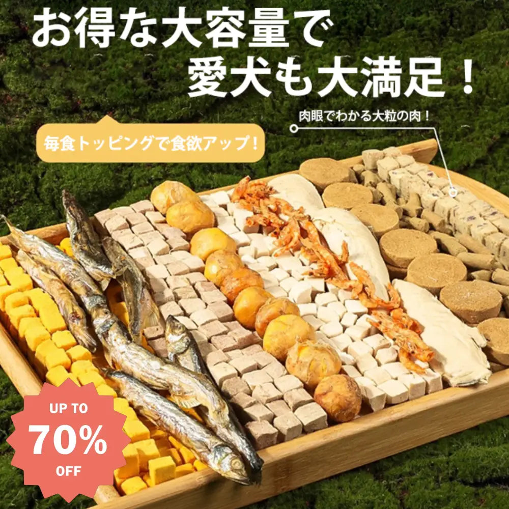 プレミアム 10種ミックス フリーズドライ ペットスナック チキン粒 ささみ 猫用 犬用 増量サポート 発腮促進 贅沢 ご褒美 高たんぱく 無添加 ヘルシー 栄養補給 おやつセット 贅沢 プレミアムバケット スーパーフード 食いつき 良質 ペットごちそう ビタミン豊富 消化良好 贅沢ミックス プレミアムトリート ID 2066