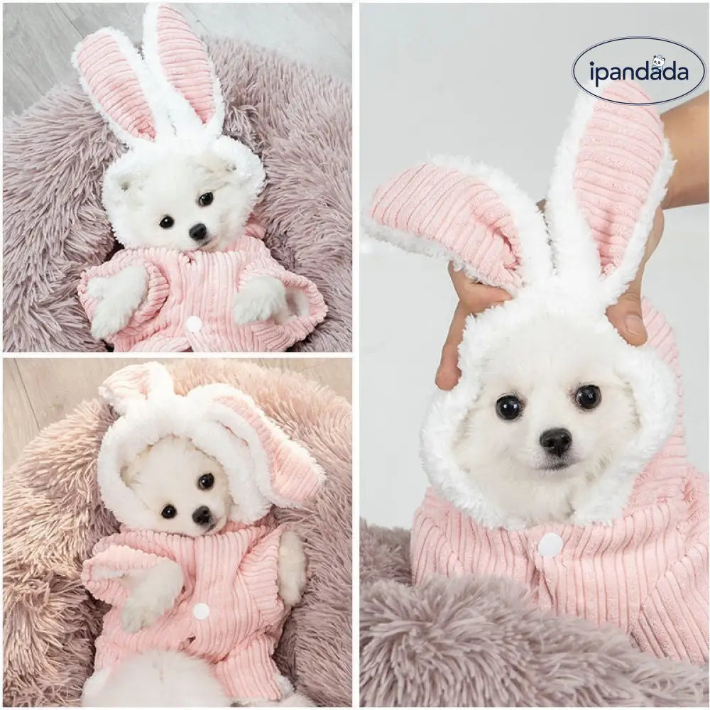 秋冬 保温 コーデュロイ 長耳うさぎ 二足 パジャマ テディ ビション 小型犬 ペット 服飾 ID2511