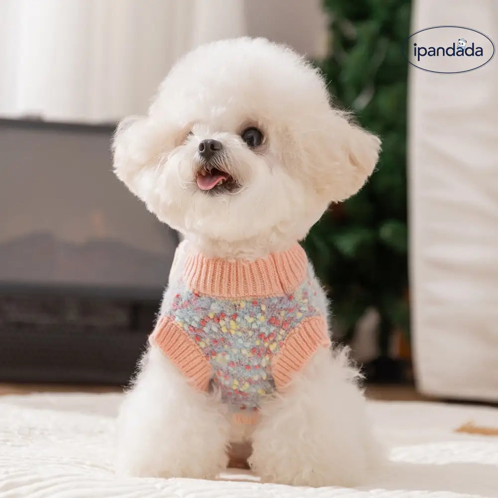 秋冬 ペット 服 保温 小熊 セーター デヴォン レックス キャット ドッグウェア お散歩 かっこいい かわいい ID2738