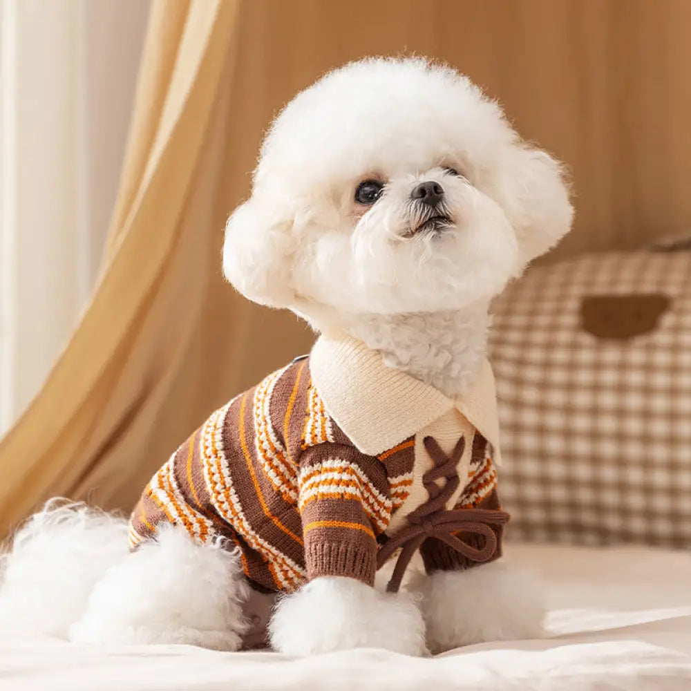 秋冬 ペット 服 フォーマルカラー ニット ストライプ セーター 小型犬 子犬 テディ ベア ビション ドッグウェア ID2733