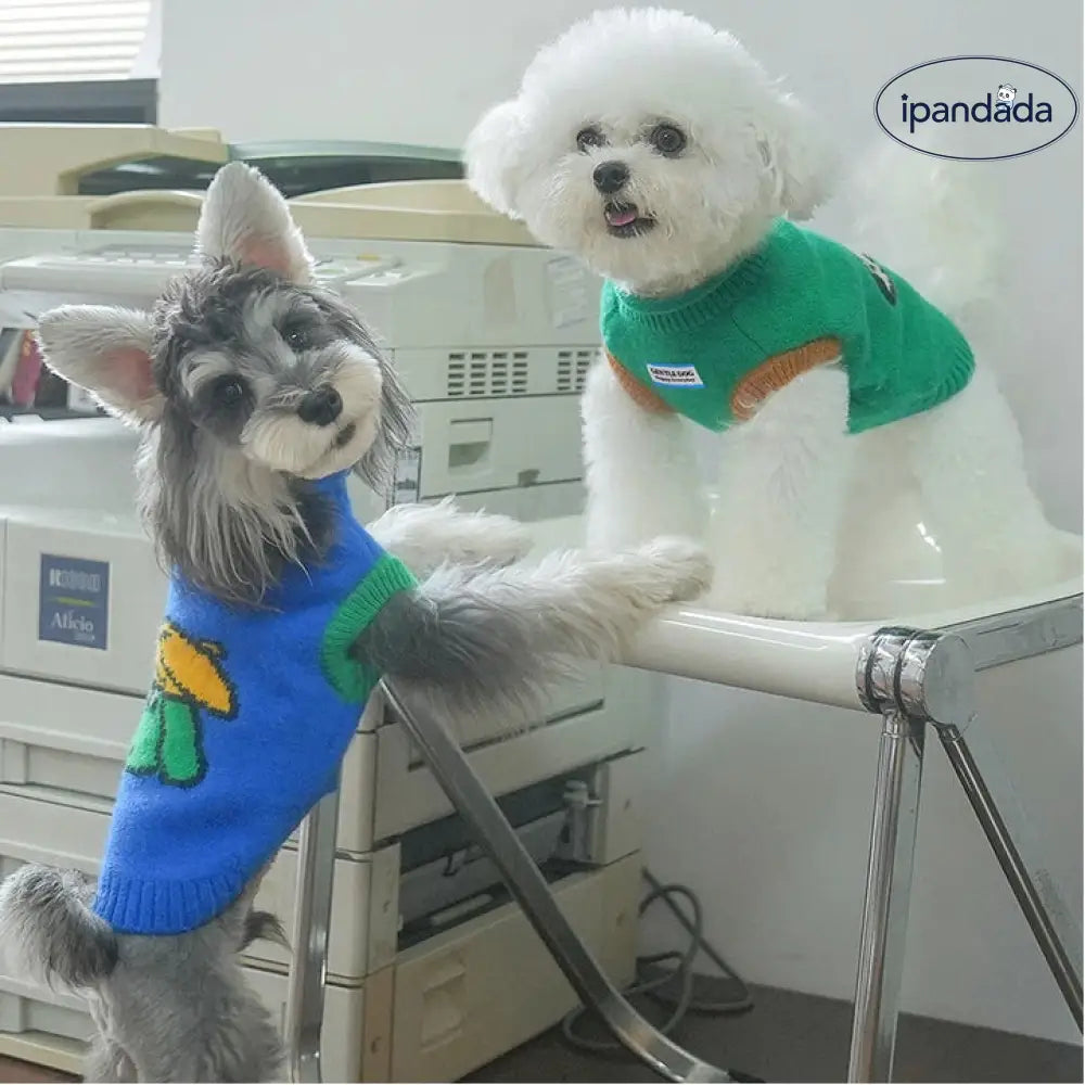 秋冬 ペットウェア テディ ベビーポメラニアン 小型犬 ニットセーター 二足 保温 ペット服 ID3392