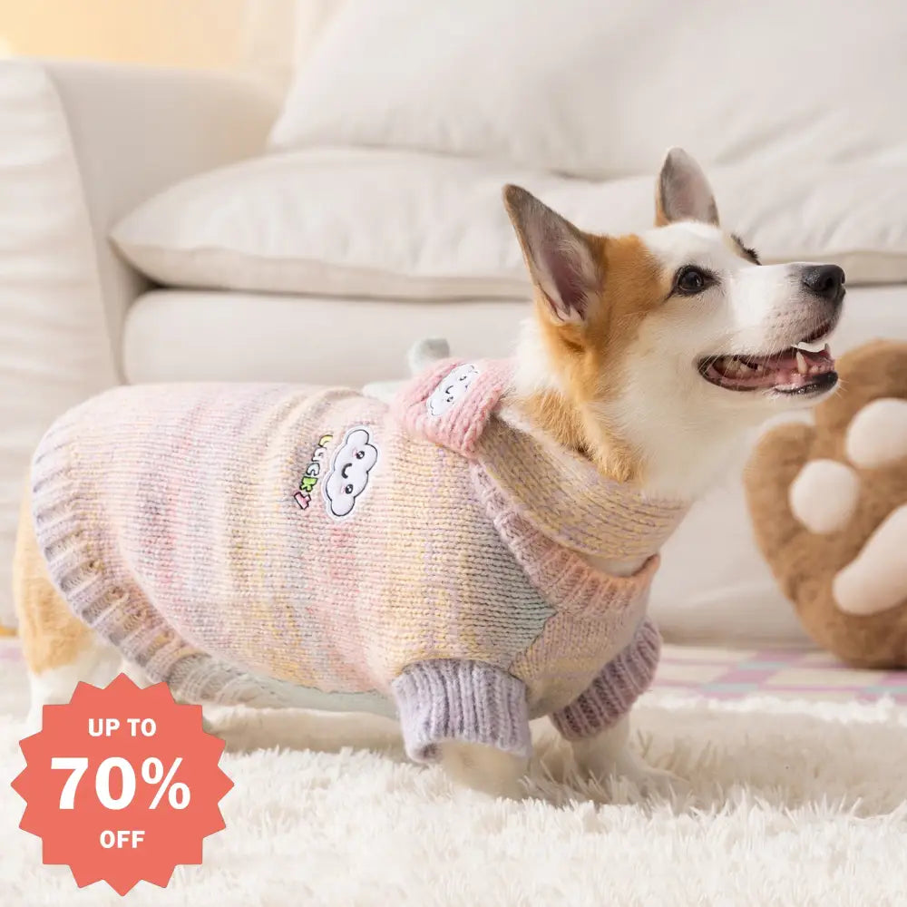 秋冬 犬服 コーギー セーター 2足タイプ レインボークラウド コーギー フレンチブルドッグ 中型犬 ペット服 ID3330