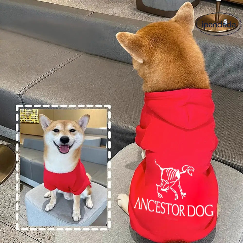 秋冬 犬用 ペット服 フリース裏起毛 厚手 ドッグパーカ ゴールデンレトリバー ラブラドール コーギー トイプードル 保温 防寒 暖かい 散歩 外出用 快適 動きやすい おしゃれ ペットウェア 小型犬 中型犬 大型犬 防風 撥水 耐久性 スポーツ用 ID2288