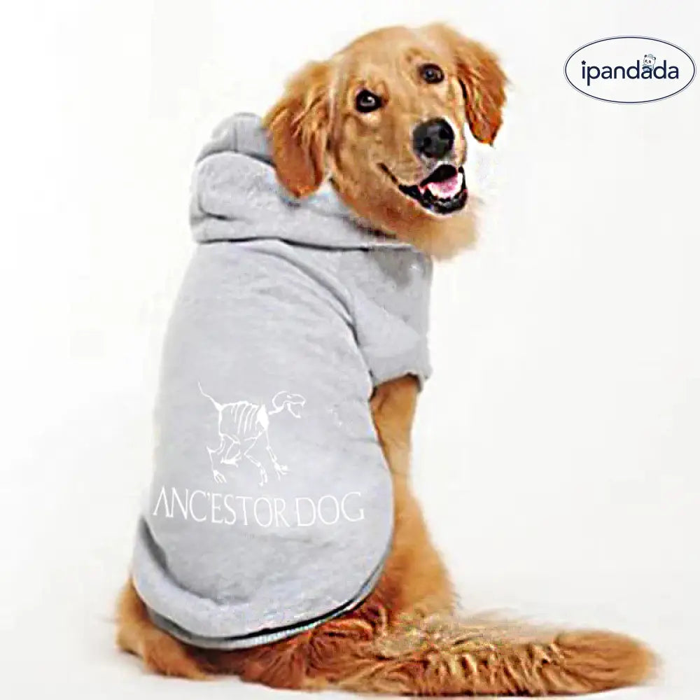 秋冬 犬用 ペット服 フリース裏起毛 厚手 ドッグパーカ ゴールデンレトリバー ラブラドール コーギー トイプードル 保温 防寒 暖かい 散歩 外出用 快適 動きやすい おしゃれ ペットウェア 小型犬 中型犬 大型犬 防風 撥水 耐久性 スポーツ用 ID2288