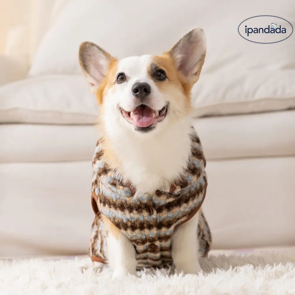 秋冬 レトロ ヒョウ柄 フード付き コーギーフリース 中型犬 背長 加工 フリース ノースリーブ 2足 ベスト 犬服 ID2501