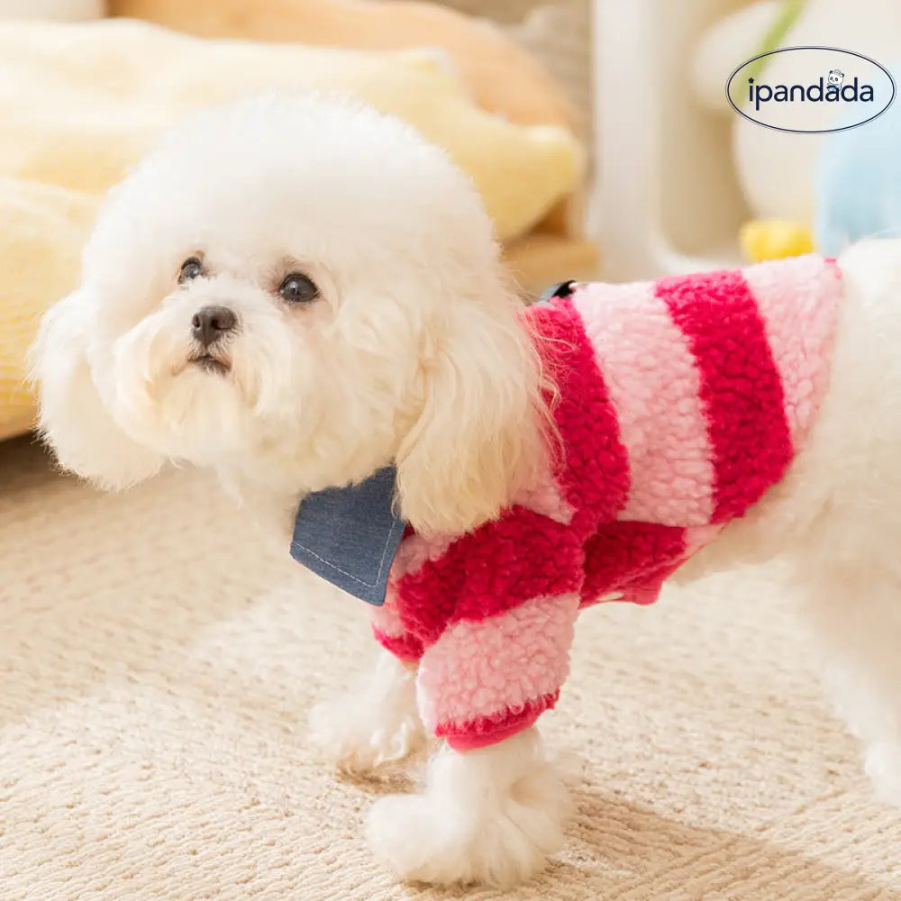 秋冬 シーズン 小犬の服 ストライプ シャツ襟 二足 フリース 厚手 保温 秋用 ペットウェア 猫の服 ID2597