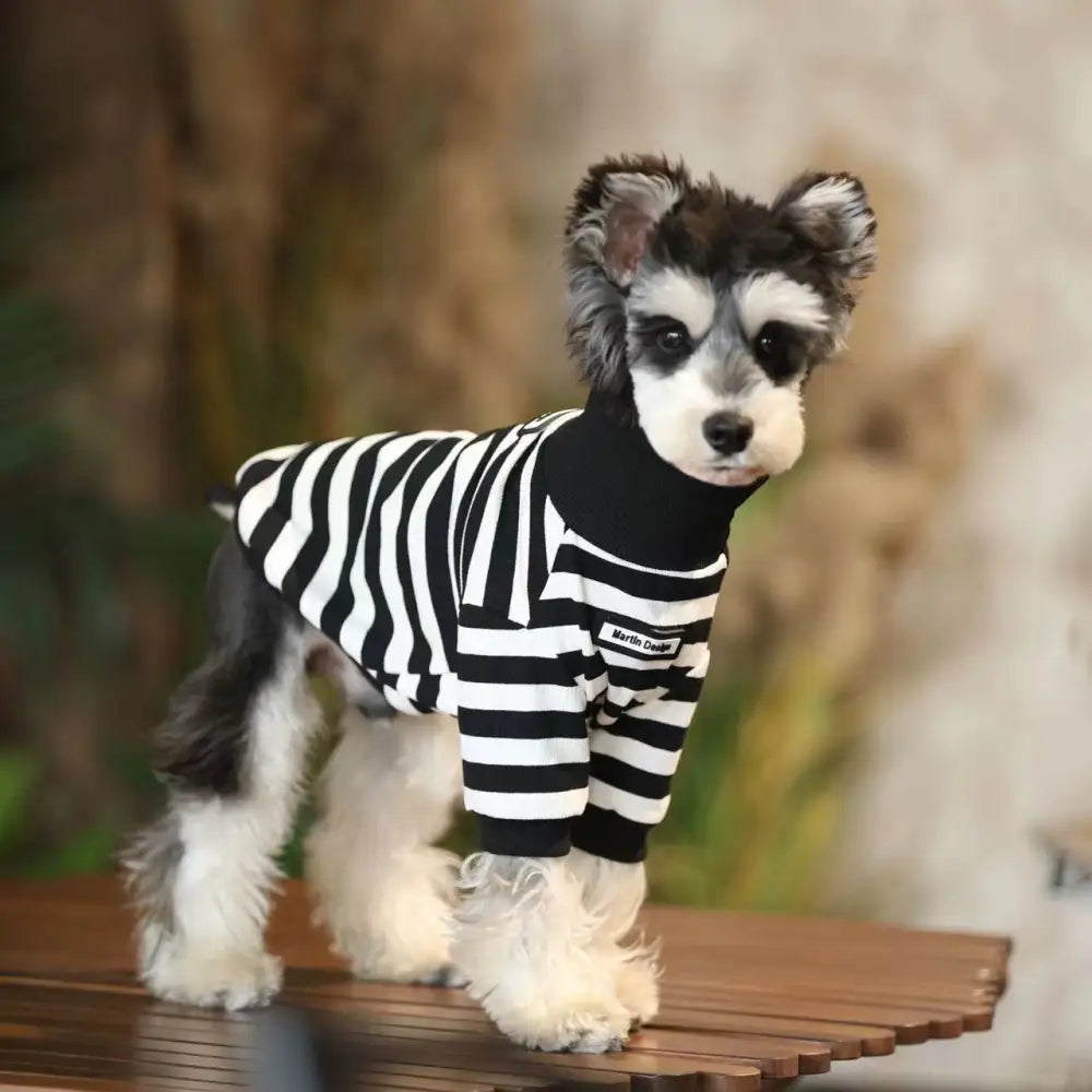 秋冬 小型犬 服装 ハイネック 冬用 インナー シュナウザー テディベア ビション ペットウェア ID2488 写真通り / XS