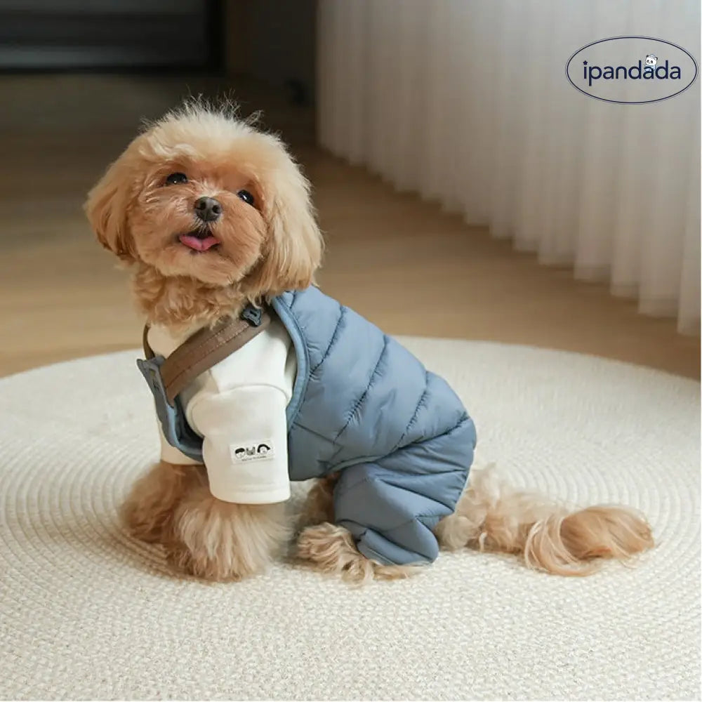 秋冬 新作 ペット 小型犬 オーバーオール タイディ ビション 韓国風 牽引可能 ダウンジャケット ID2431