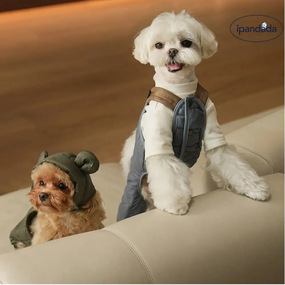 秋冬 新作 ペット 小型犬 オーバーオール タイディ ビション 韓国風 牽引可能 ダウンジャケット ID2431