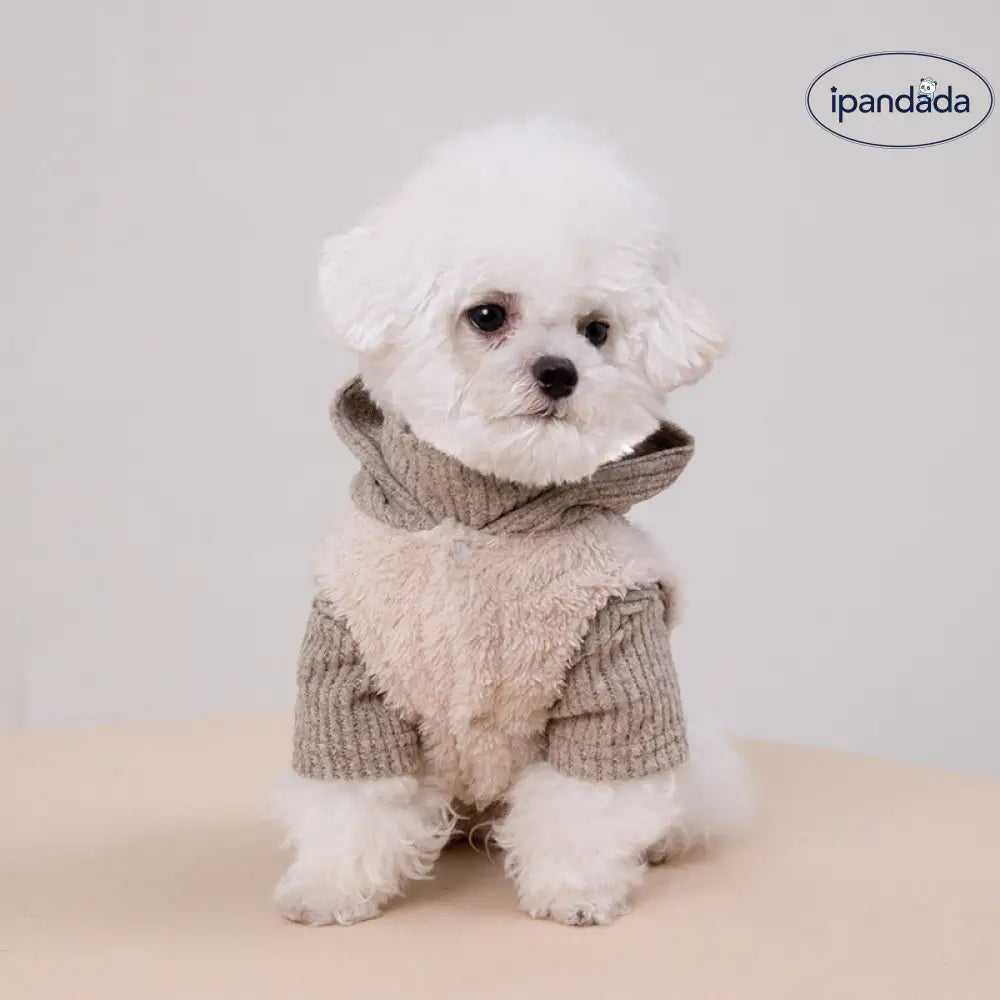 秋冬 新作 ペットウェア 犬用 スウェット セット 牽引リング チワワ ビションフリーゼ用 ID3272