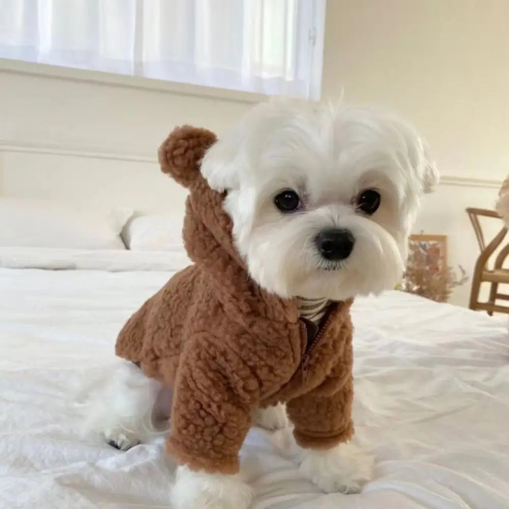 秋冬新作 犬 服 超可愛い! 小型犬 ペットウェア お散歩 もこもこ 秋冬 服 ベスト ドッグウェア 抜け毛防止 ペット服 犬服 猫服 犬用 ペット用品 ID2306 ブラウン / S