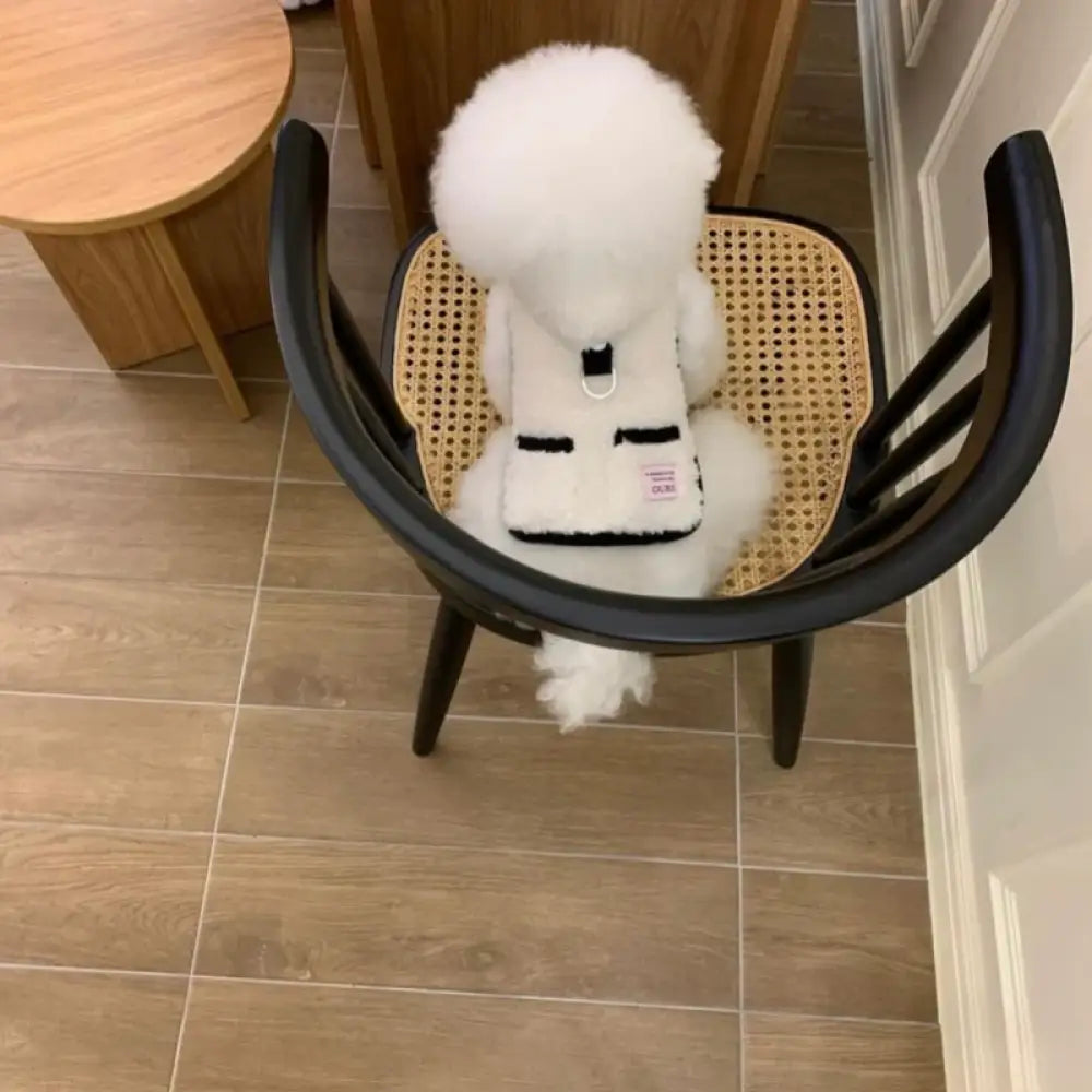 秋冬 引っ張り フード ベスト コットン ジャケット ビション フォックス テディ 小型犬 犬猫 ペット ウェア ID3219 ホワイト / XS