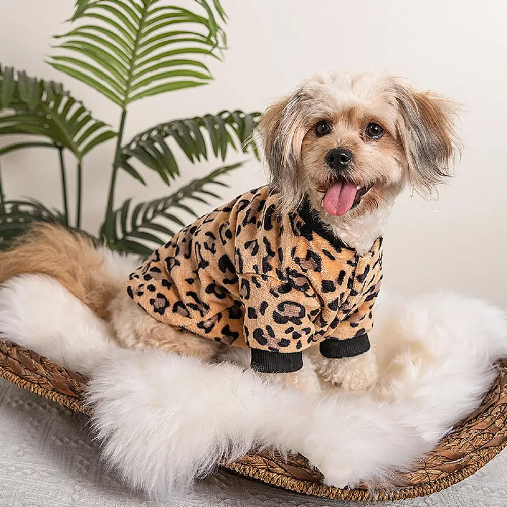 秋冬用 ペット服 犬猫用 ヒョウ柄 スウェットシャツ プルオーバー 厚手 保温 新作ファッション ビション フォックス ポメラニアン コーギー シュナウザー ID2349