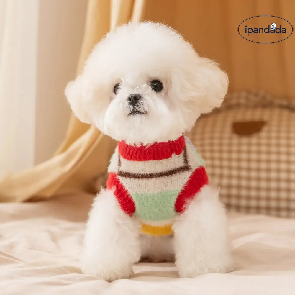 秋冬用 親子服 保温 ペット セーター かわいい 星柄・雲柄 親子服 ビション 小型犬・中型犬用 ID3294