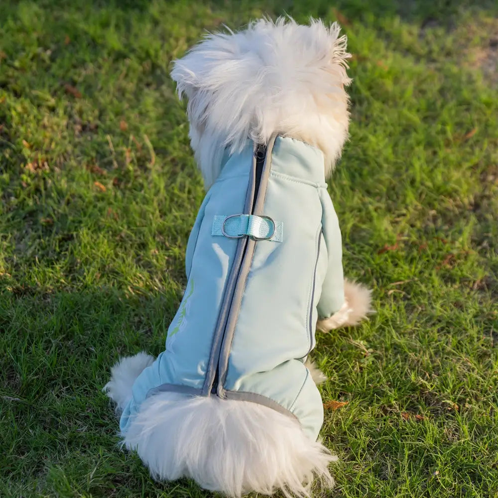 秋冬用 犬服 スポーツ フリースウェア 小型犬用 中型犬用 アウトドア 保温 猫用 ペット服 お散歩 かっこいい かわいい クリスマスプレゼント ID3577 グリーン / S ペット用品＞ウェア