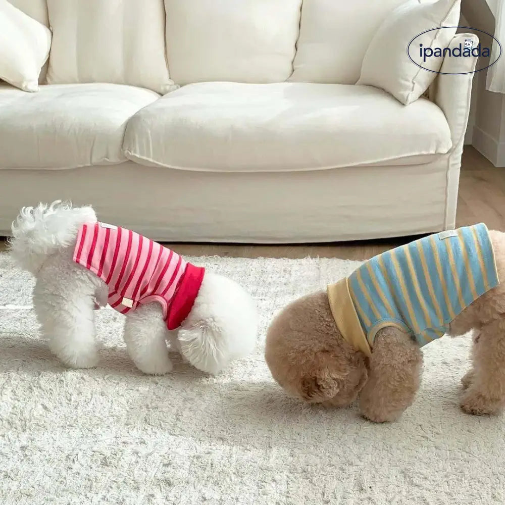 秋用 薄手 ストライプ タンクトップ シュナウザー テディ ビションフリーゼ 小型犬 犬用 服 猫用 デボンレックス 猫 服 ID2307