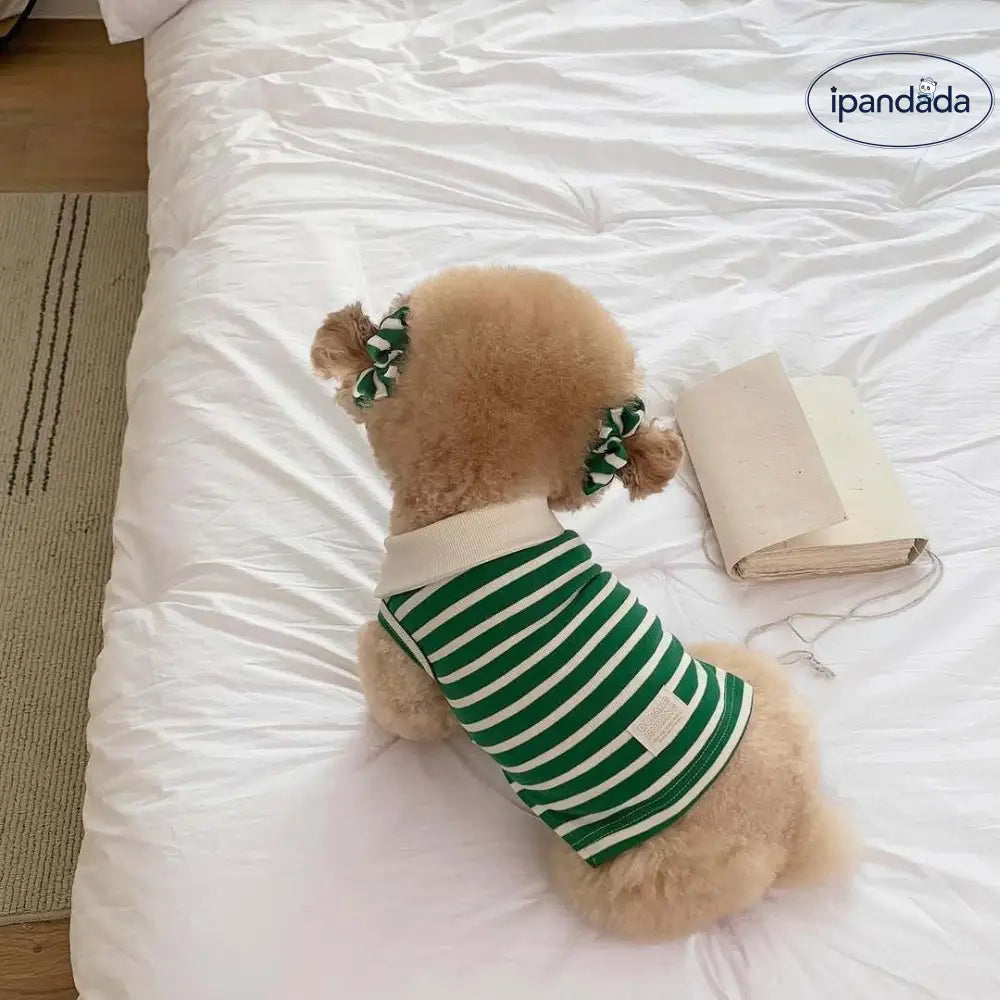 秋用 薄手 ストライプ タンクトップ シュナウザー テディ ビションフリーゼ 小型犬 犬用 服 猫用 デボンレックス 猫 服 ID2307