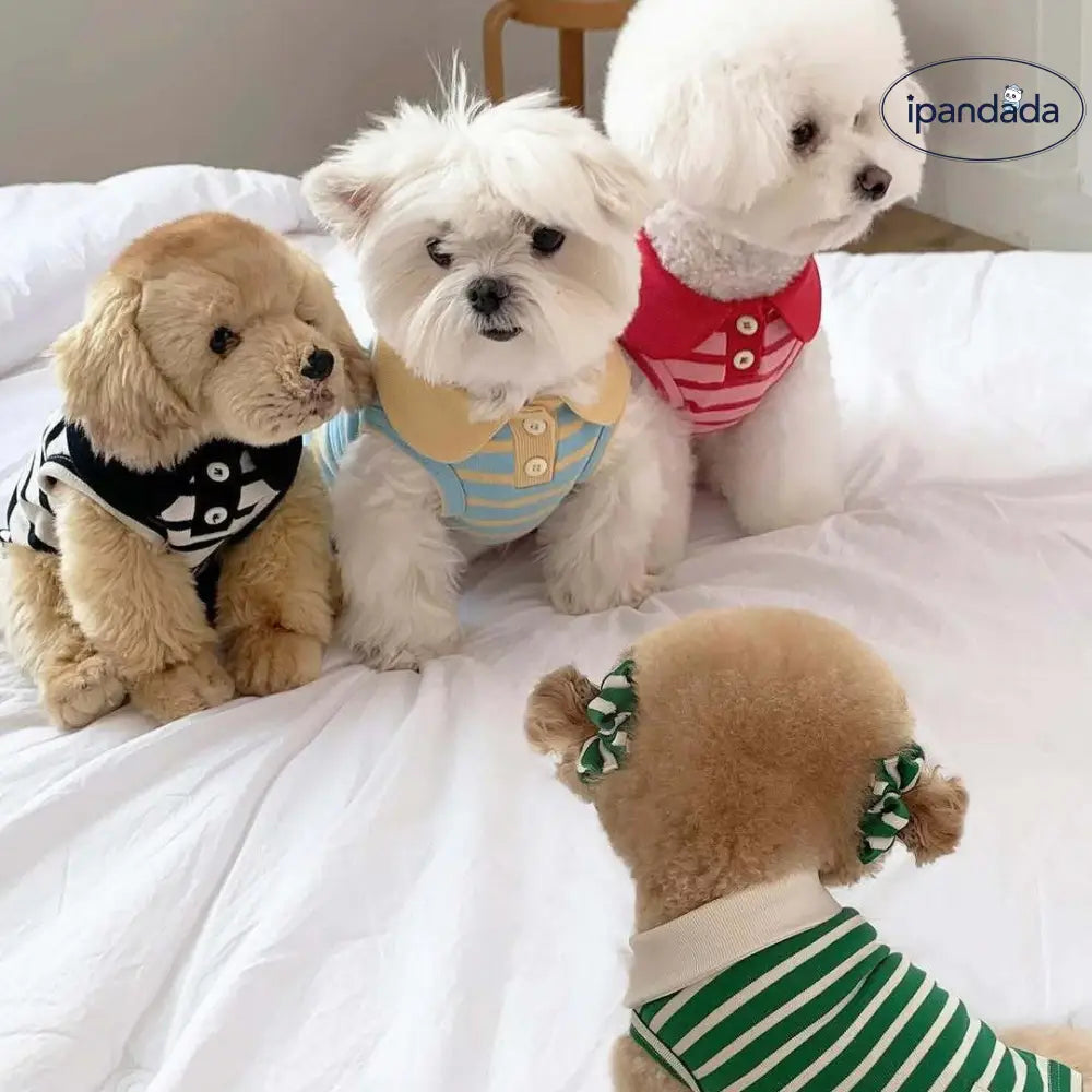 秋用 薄手 ストライプ タンクトップ シュナウザー テディ ビションフリーゼ 小型犬 犬用 服 猫用 デボンレックス 猫 服 ID2307
