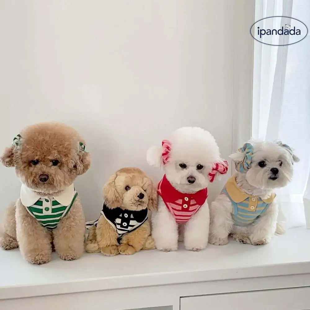 秋用 薄手 ストライプ タンクトップ シュナウザー テディ ビションフリーゼ 小型犬 犬用 服 猫用 デボンレックス 猫 服 ID2307