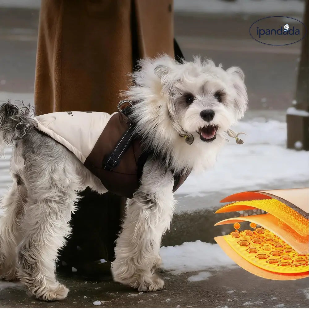 犬 冬季服 リード付き フリース襟 フード付き 厚手 保温 ビション 中小型犬 ペット 起毛 厚手コート 犬 クリスマスプレゼント ID3096 ペット用品＞ウェア