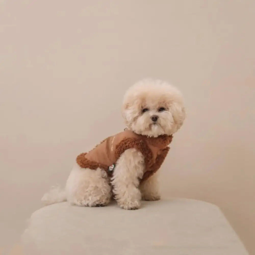 犬服 超可愛い! 小型犬 ペットウェア お散歩 もこもこ 秋冬 服 裏ボア 中綿 あったか 防寒 洋服 ペット服 可愛い おしゃれ アウター 抜け毛防止 お散歩服 ブラウン / S ペット用品＞ウェア
