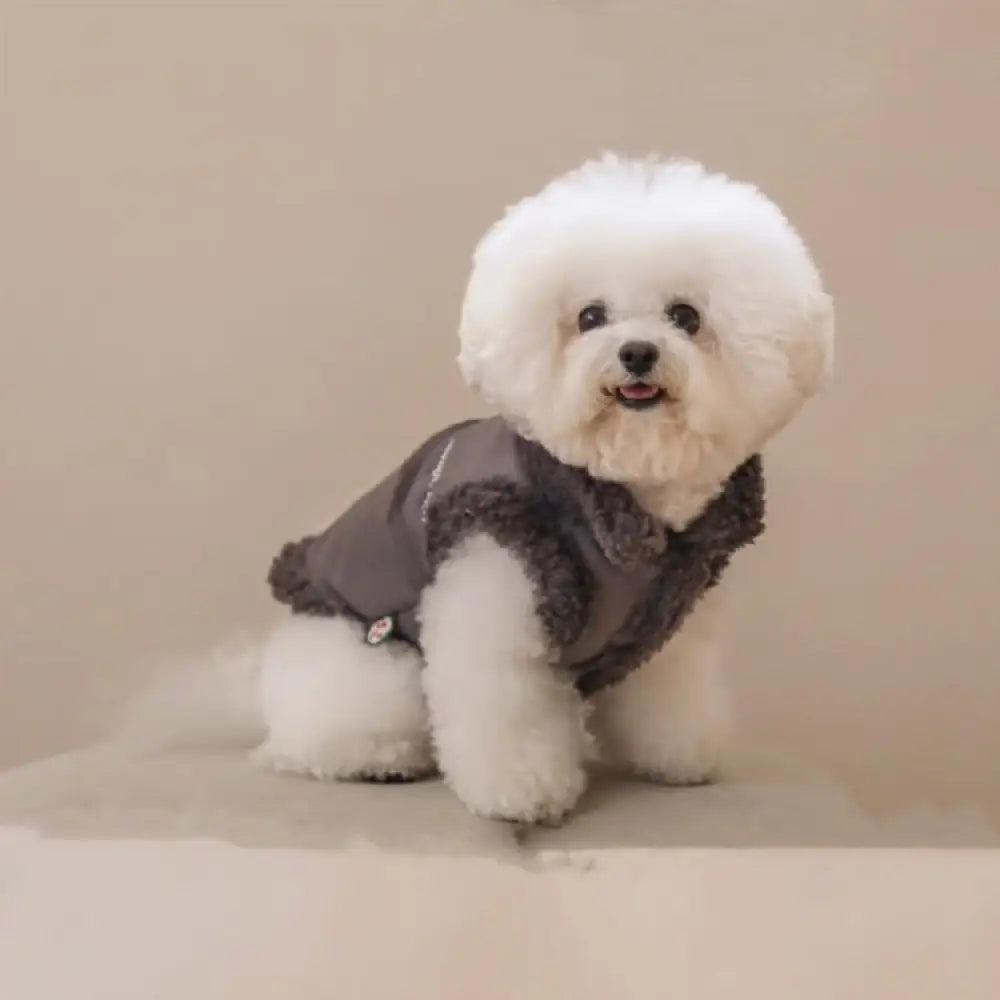 犬服 超可愛い! 小型犬 ペットウェア お散歩 もこもこ 秋冬 服 裏ボア 中綿 あったか 防寒 洋服 ペット服 可愛い おしゃれ アウター 抜け毛防止 お散歩服 グレー / S ペット用品＞ウェア