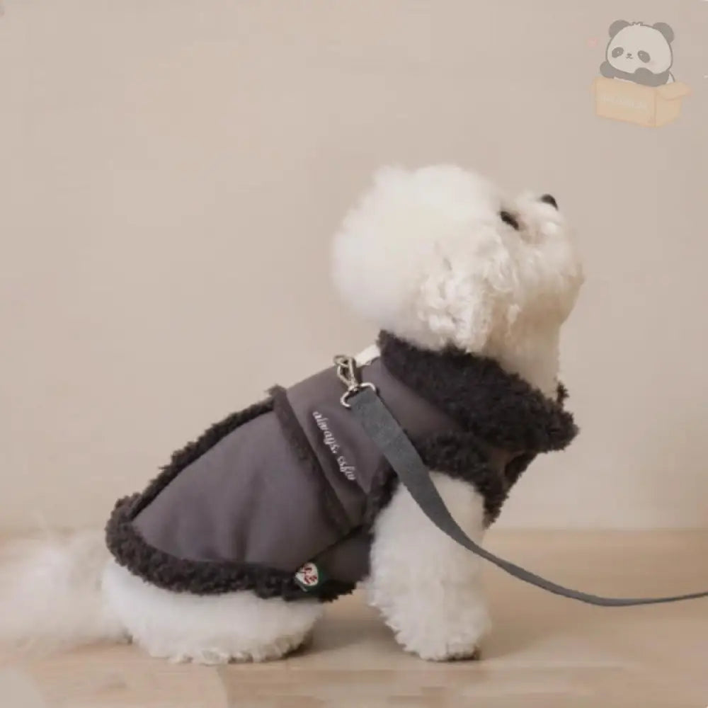 犬服 超可愛い! 小型犬 ペットウェア お散歩 もこもこ 秋冬 服 裏ボア 中綿 あったか 防寒 洋服 ペット服 可愛い おしゃれ アウター 抜け毛防止 お散歩服 ペット用品＞ウェア