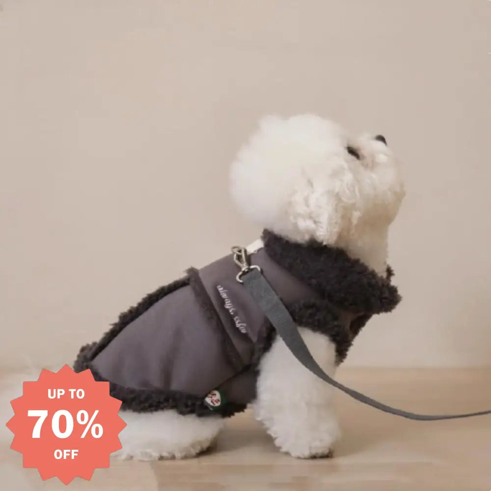 犬服 超可愛い! 小型犬 ペットウェア お散歩 もこもこ 秋冬 服 裏ボア 中綿 あったか 防寒 洋服 ペット服 可愛い おしゃれ アウター 抜け毛防止 お散歩服 ペット用品＞ウェア