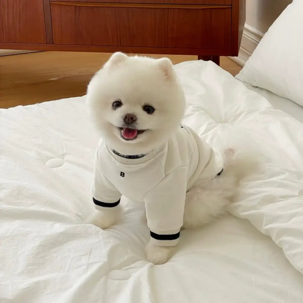 犬服 ドッグウェア アルファベット Ｔシャツ 袖あり カジュアル かわいい ペット服 キャットウェア Tシャツ カットソー ホワイト / XS ペット用品＞ウェア