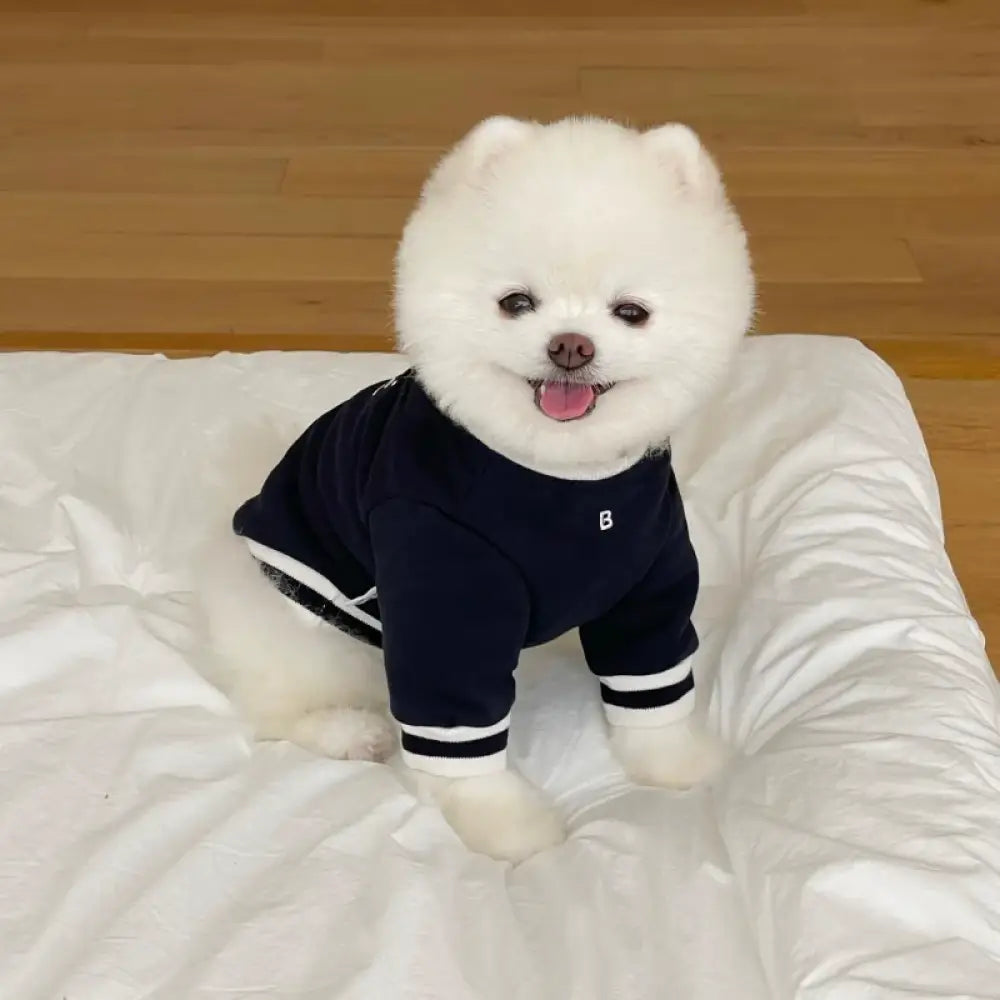犬服 ドッグウェア アルファベット Ｔシャツ 袖あり カジュアル かわいい ペット服 キャットウェア Tシャツ カットソー ネイビー / XS ペット用品＞ウェア