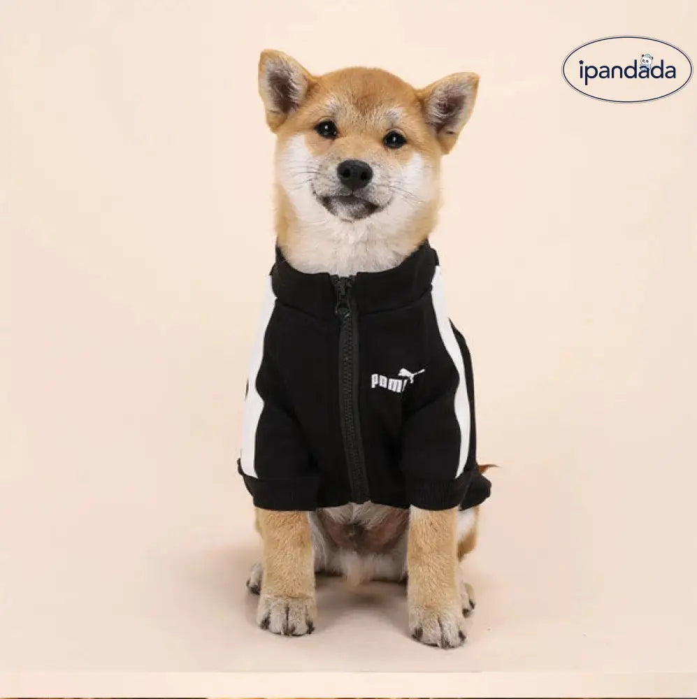 犬服 ドッグウェア 冬服 トレーナーあったか 裏起毛 ジャージ風ペット服 小型犬 中型犬アウター ペット用品＞ウェア