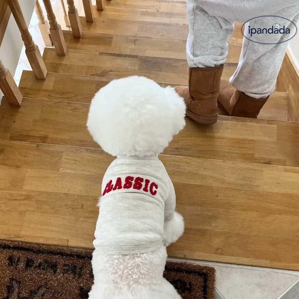 犬服 ドッグウェア スウェット アルファベット　韓国スタイル 抜け毛防止 小/中型犬服 ペット洋服 秋冬春 室内室外 犬猫兼用 ペット用品＞ウェア