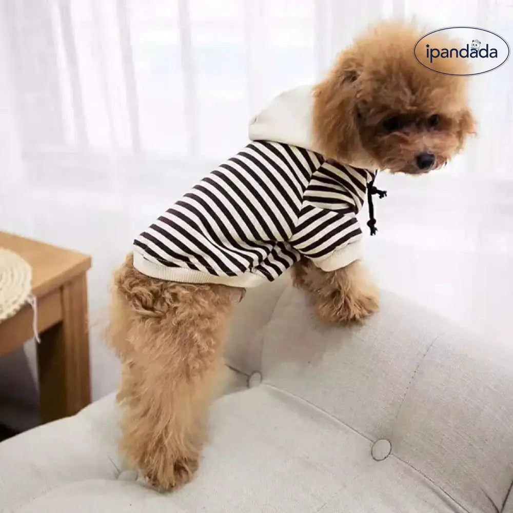犬服 ドッグウェアの服 パーカー XS-4XLから選べるボーダーパーカー フードパーカー インスタ映え 抜け毛防止 ペット用品＞ウェア