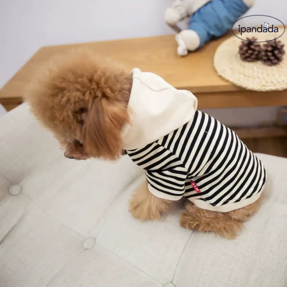 犬服 ドッグウェアの服 パーカー XS-4XLから選べるボーダーパーカー フードパーカー インスタ映え 抜け毛防止 ペット用品＞ウェア
