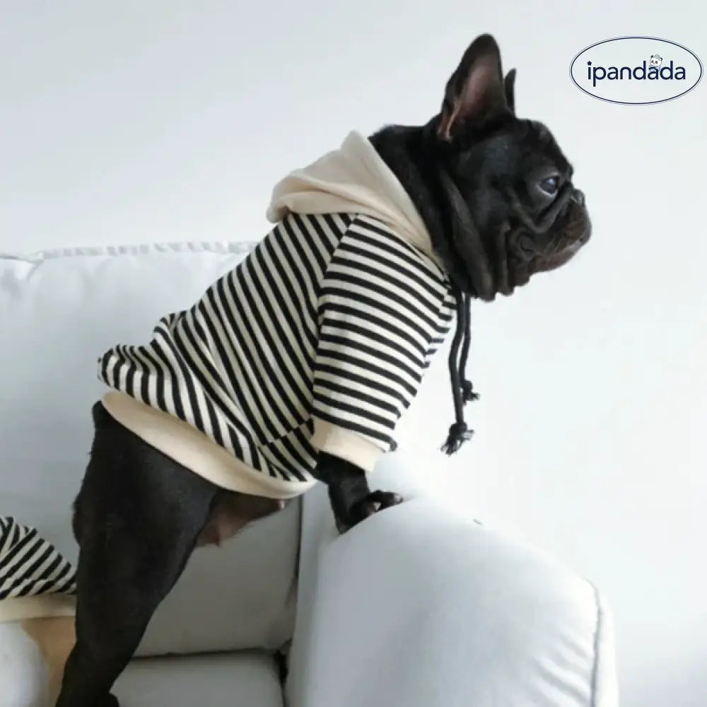 犬服 ドッグウェアの服 パーカー XS-4XLから選べるボーダーパーカー フードパーカー インスタ映え 抜け毛防止 ペット用品＞ウェア