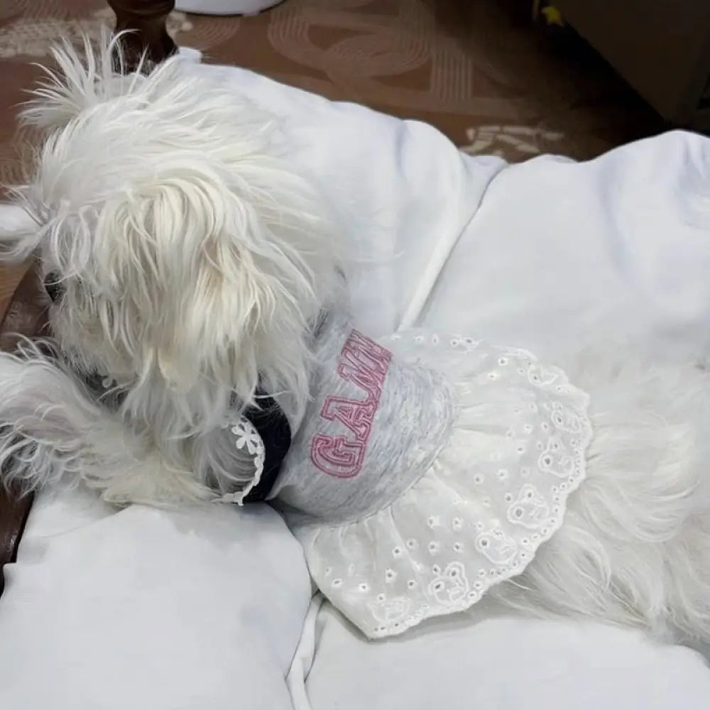 犬服 かわいい ペット キャミソール レース フリル スカート 服 春 秋