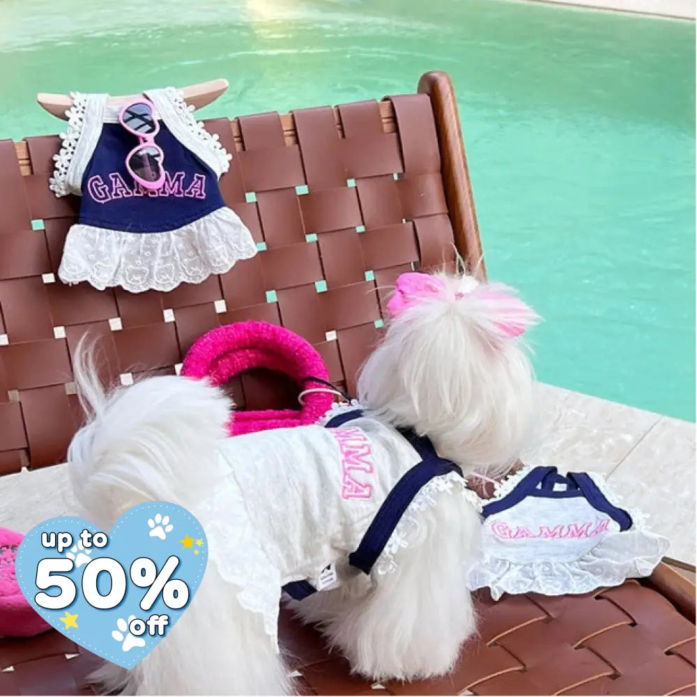 ペット キャミソール 服 春 秋用 通気性 ガーリーフリル 犬 猫用 ビション ポメラニアン ID4730 - グレー / S